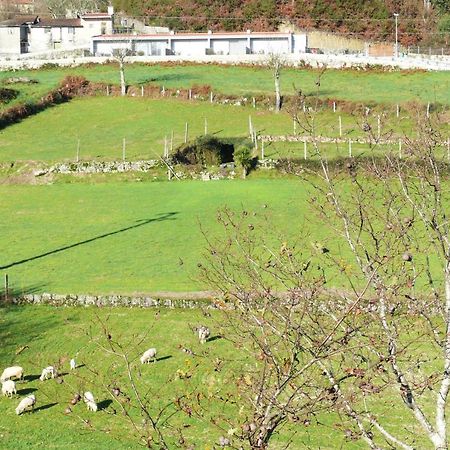 Campo Seco Villa Vieira do Minho Eksteriør billede