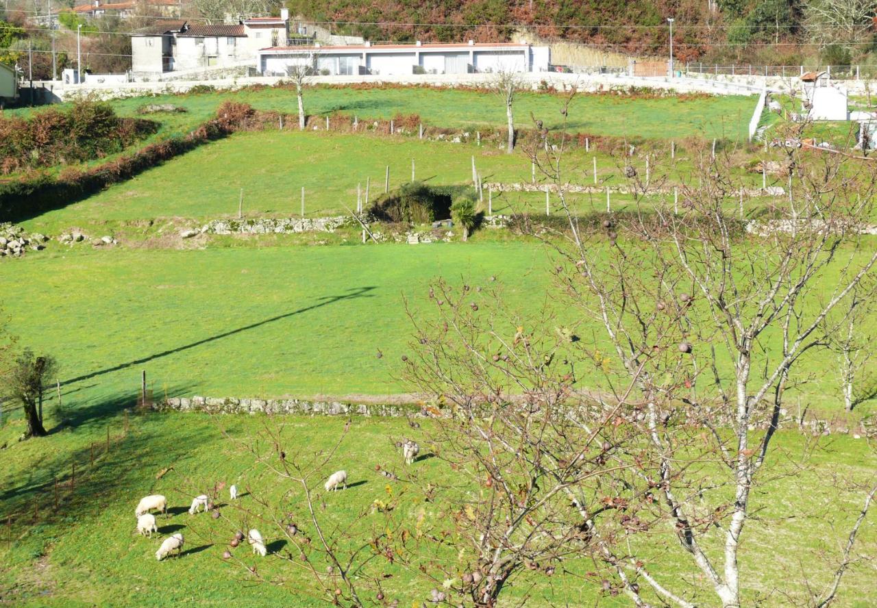 Campo Seco Villa Vieira do Minho Eksteriør billede